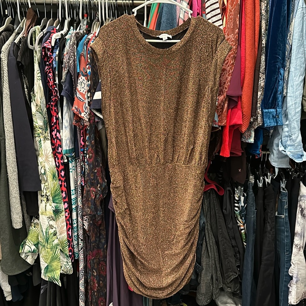 Bronze Sparkle mini dress by Evereve size XL